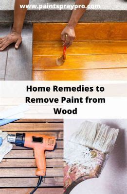 How to Remove Paint from a Wooden Door: A Journey Through Time and Texture